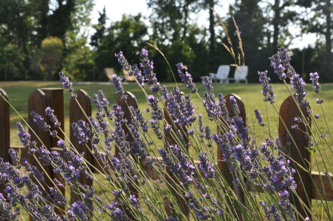 Agriturismo Testalepre Greve in Chianti Eksteriør bilde