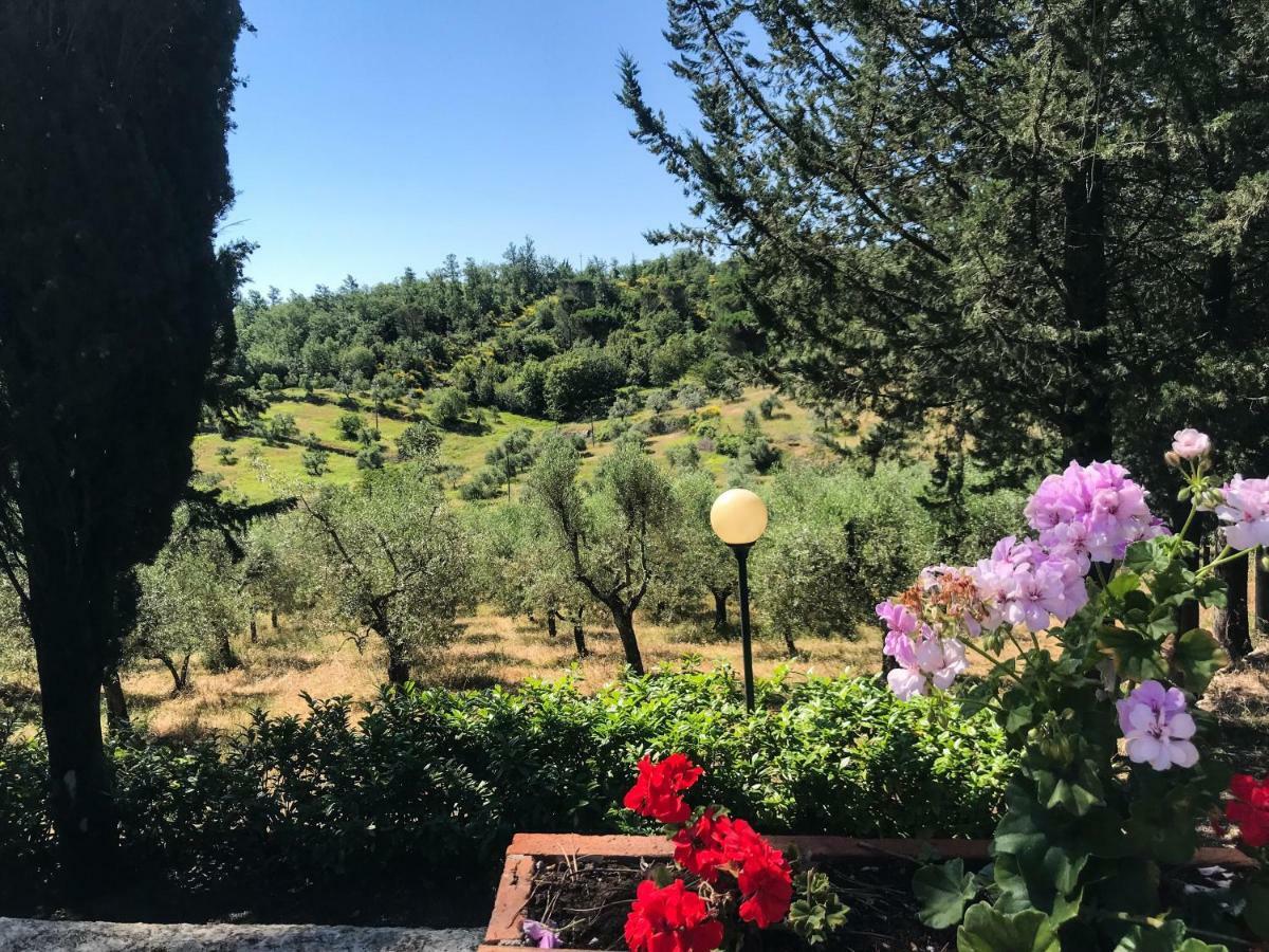 Agriturismo Testalepre Greve in Chianti Eksteriør bilde